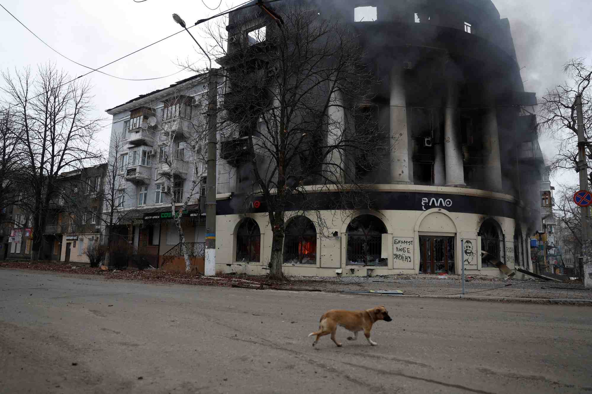 Un chien passe devant un batiment brule par une frappe, lors d'un bombardement a bakhmout