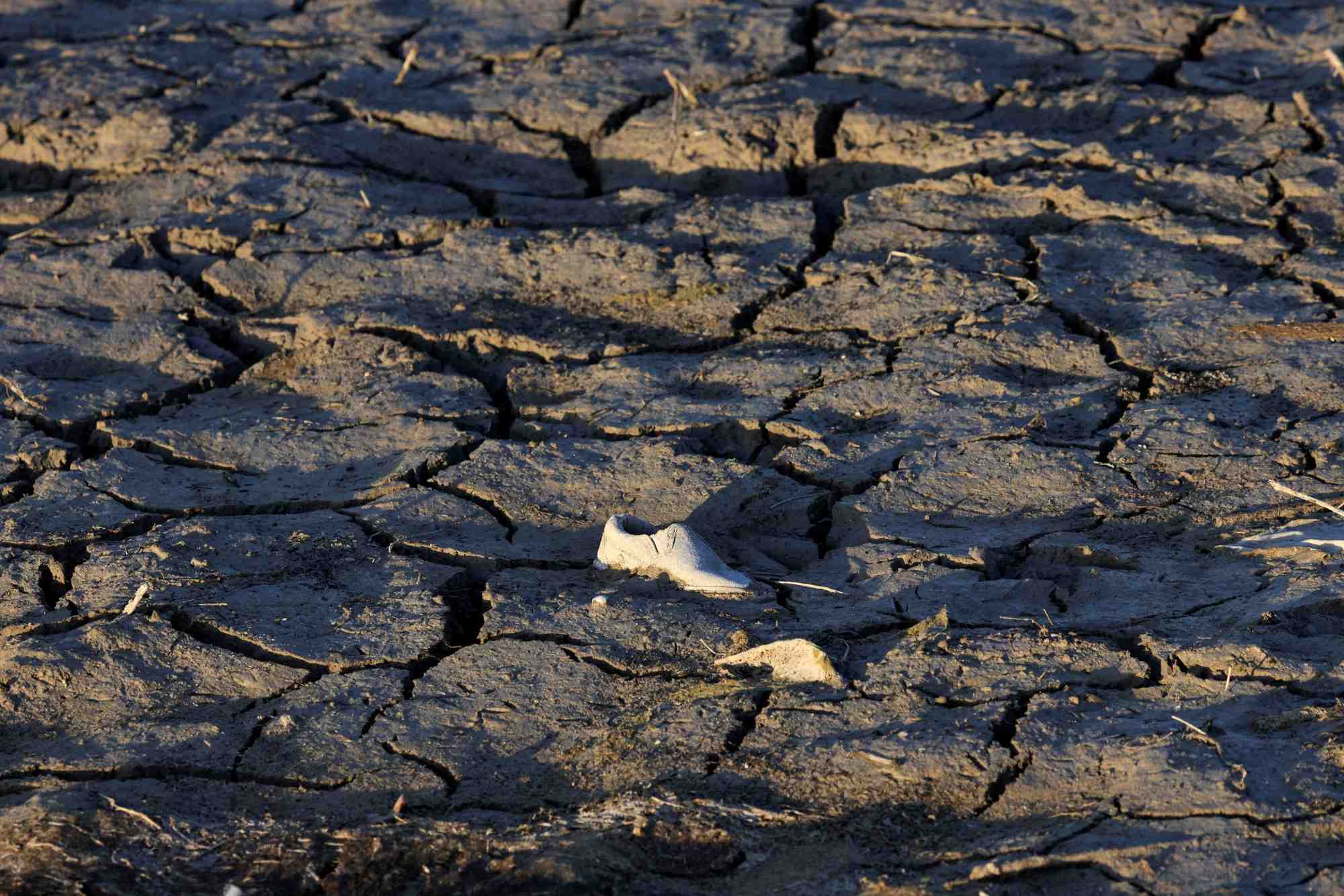 L'italie va declarer l'etat d'urgence pour les zones les plus touchees par la secheresse