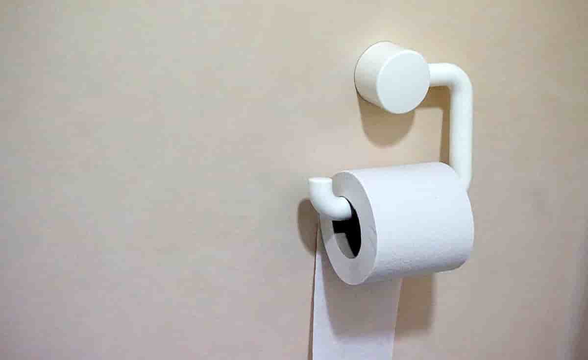 papier toilette