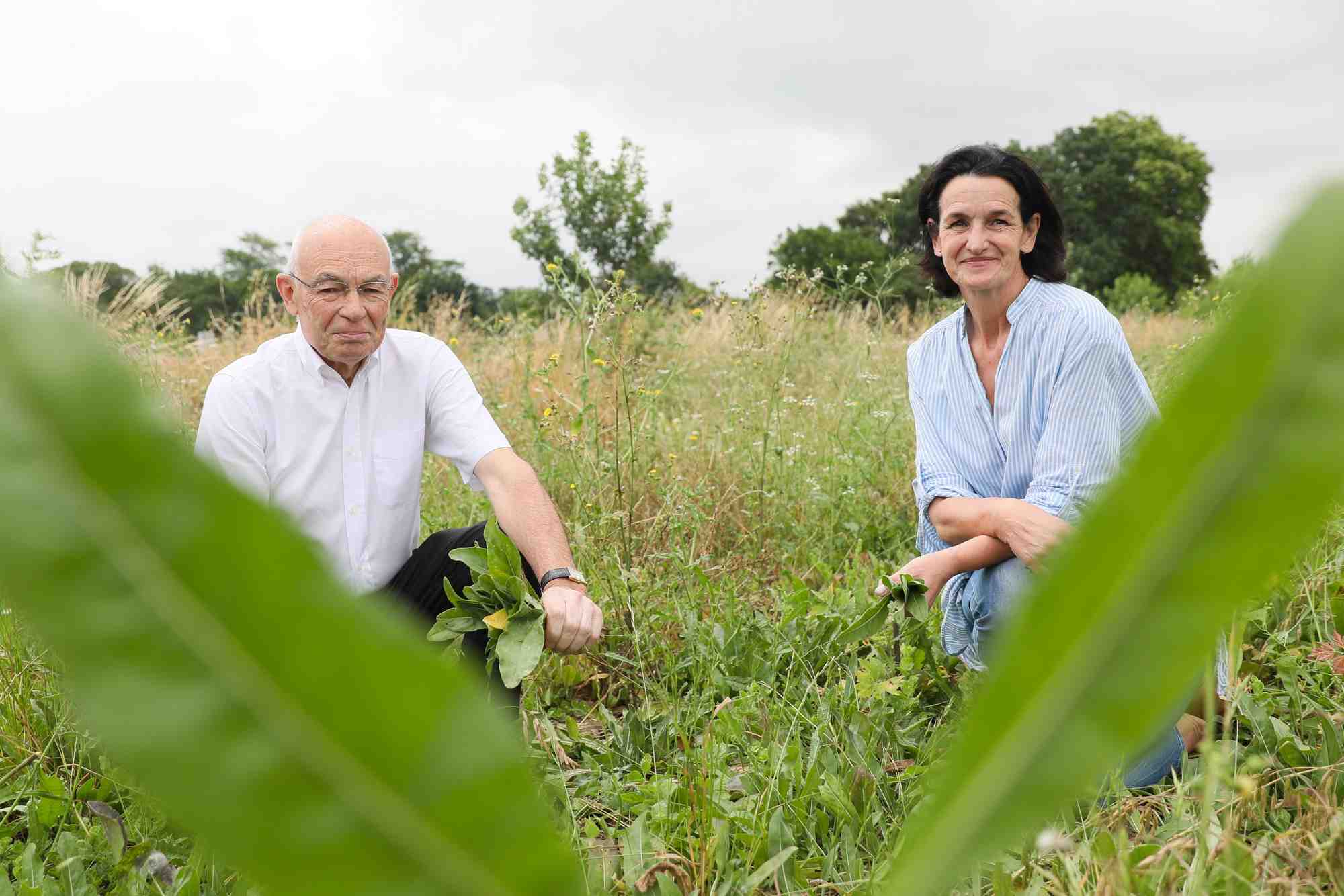 Jean-Jacques Germain et Sandrine Banessy ont fondé ensemble en 2013 Terre de Pastel, à Toulouse.