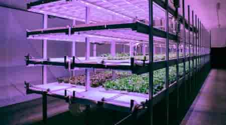 Florentaise : vers une agriculture urbaine innovante