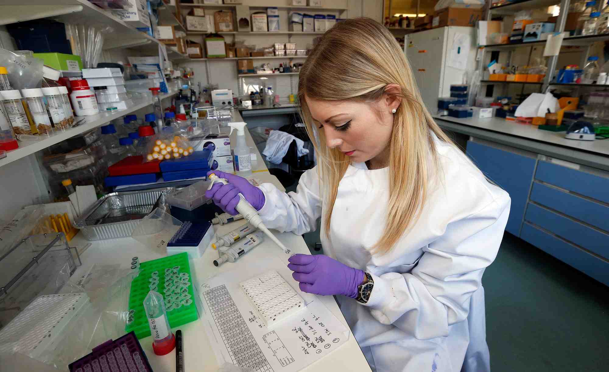 nanoparticules et aliments