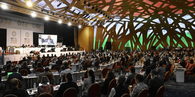 cop15