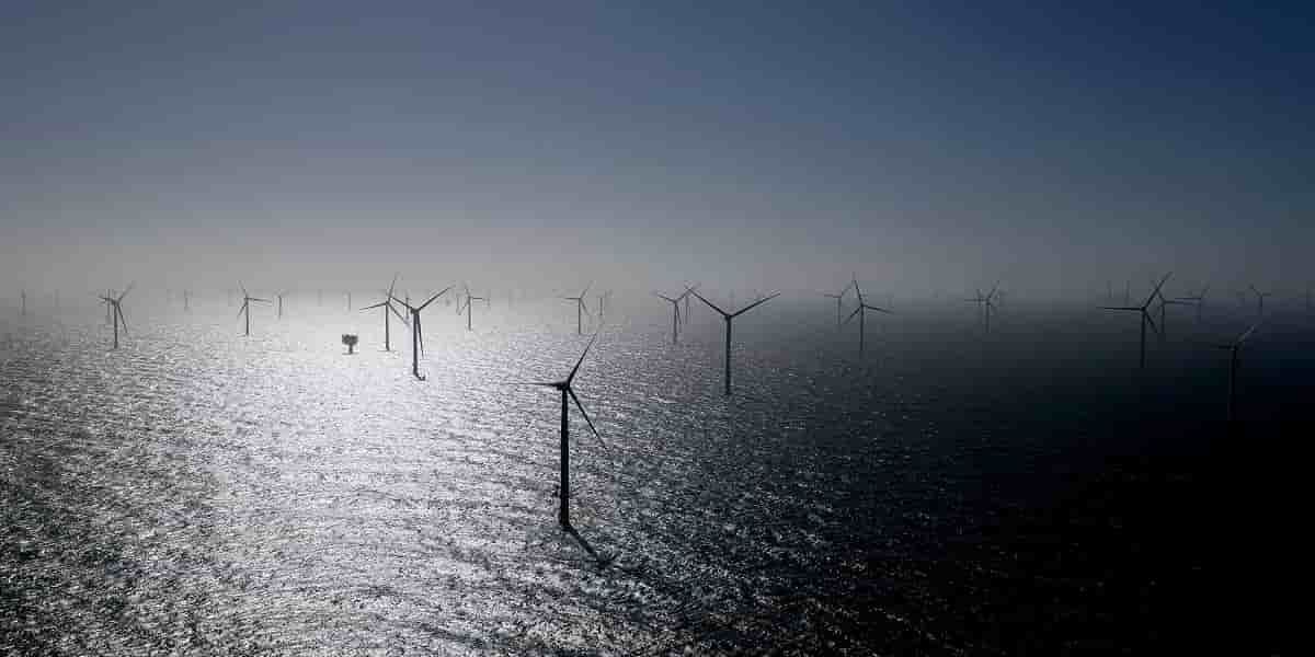 Un champ d'éoliennes en mer, en Allemagne.