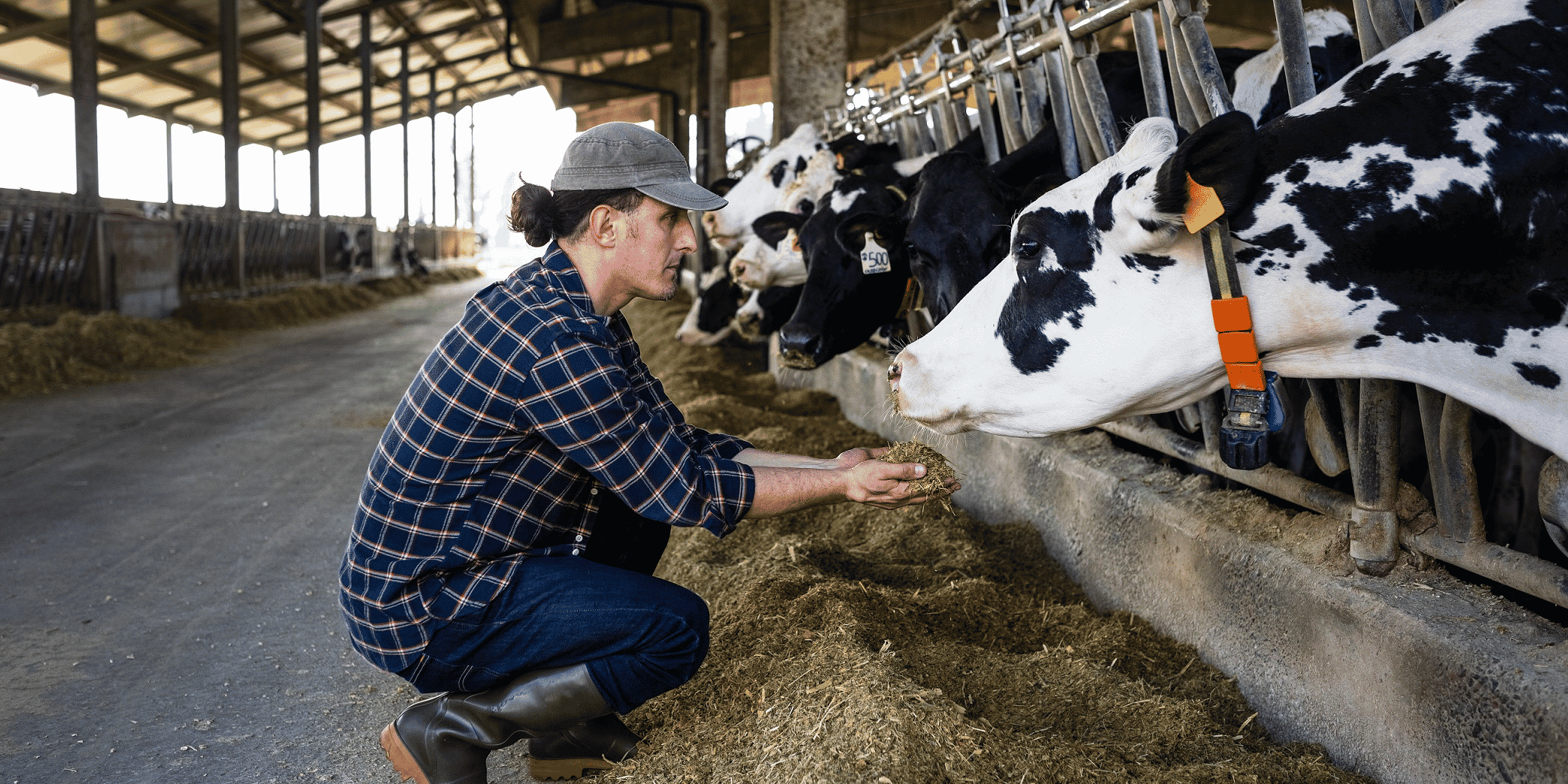 agroalimentaire, alimentation, distribution, consommation