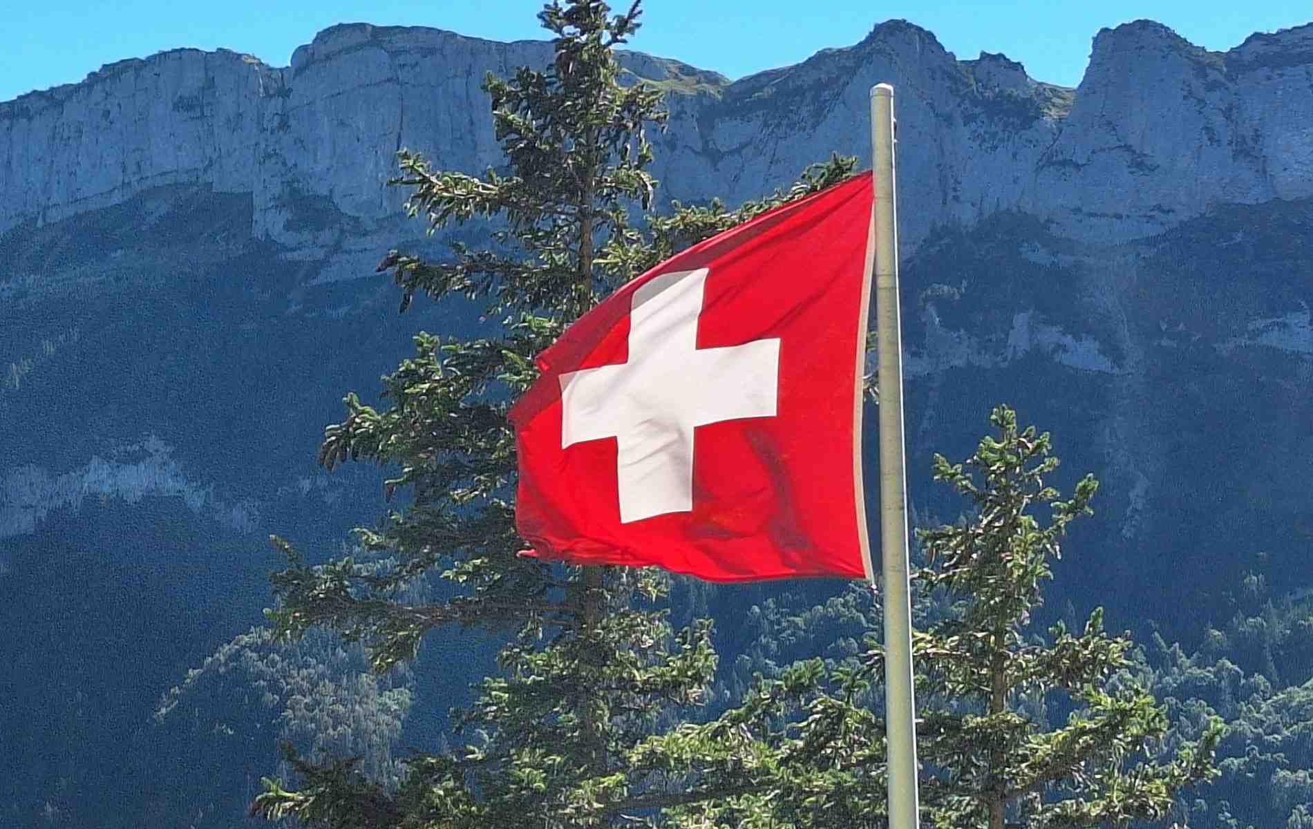 Jugé trop contraignant pour l'économie et le mode de vie du pays, le projet des écologistes n'a pas convaincu les Suisses.
