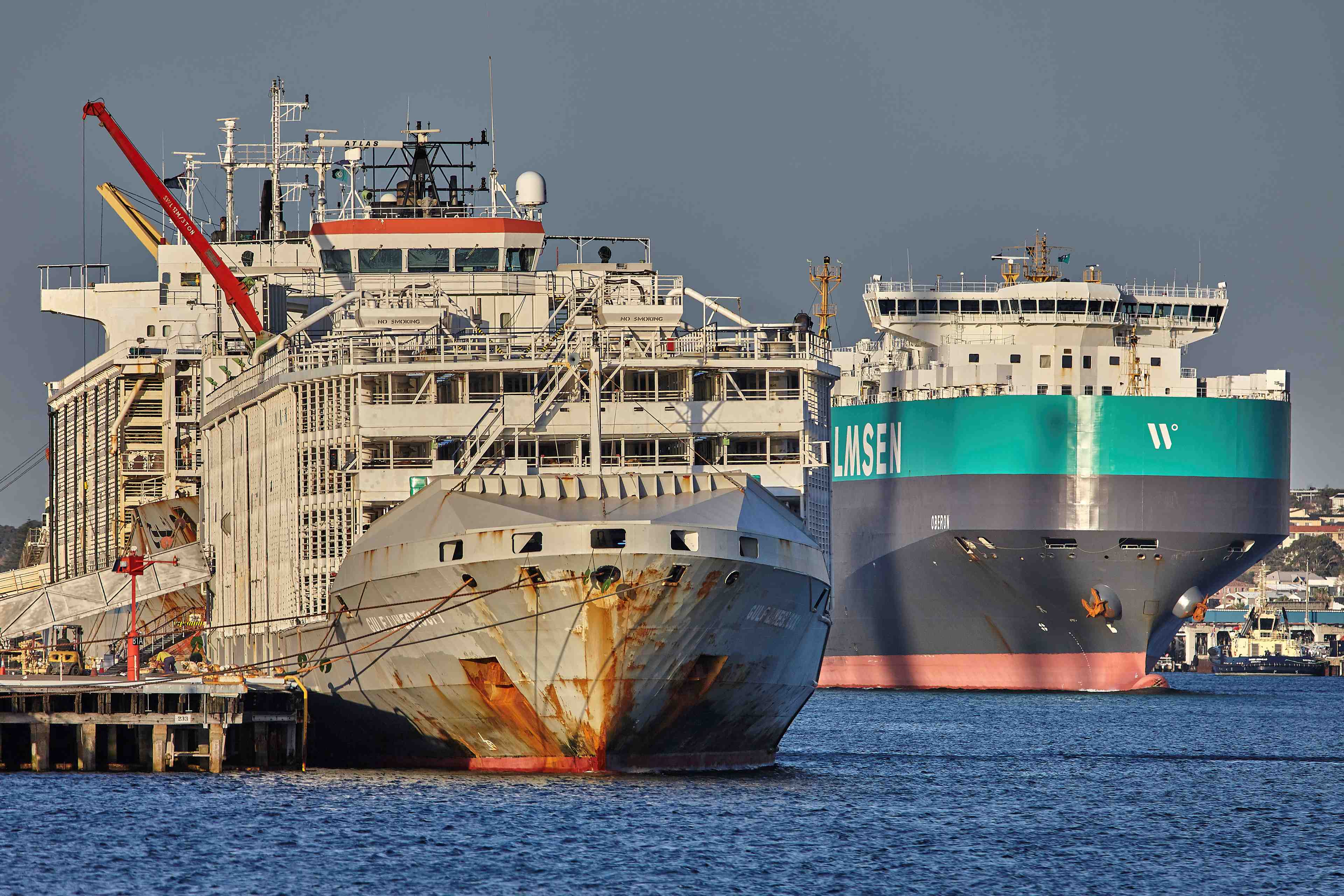 Un cargo neo-zelandais et son equipage portes disparus au large du japon