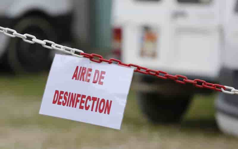 Le foll espere la fin prochaine de l'epidemie de grippe aviaire