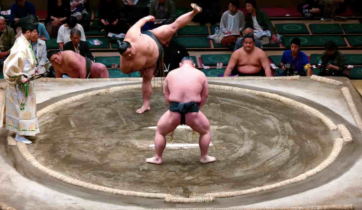 sumos
