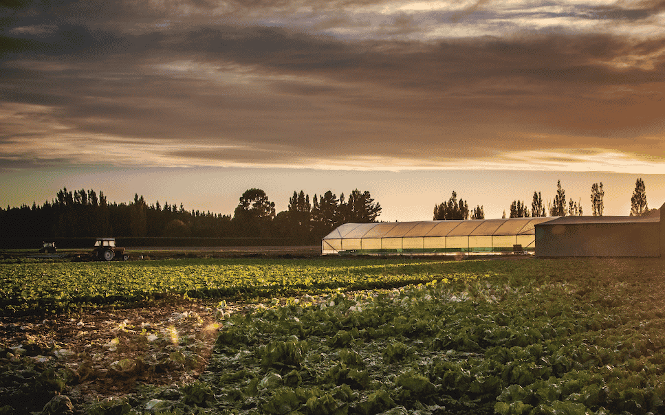 Agriculture