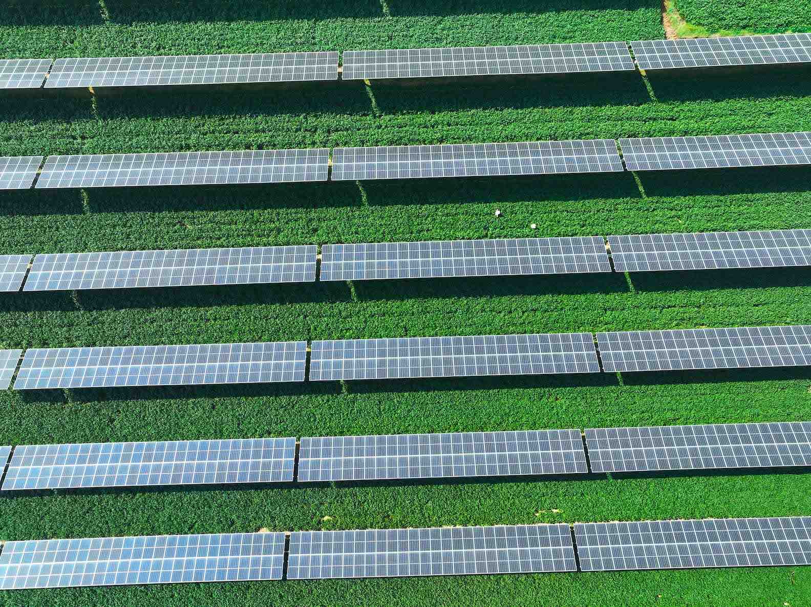 Les projets dans les énergies propres ont été les principaux moteurs de la croissance économique de la Chine en 2023.