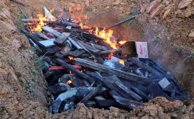 Indonesie: environ 300 carcasses de crocodiles incinerees