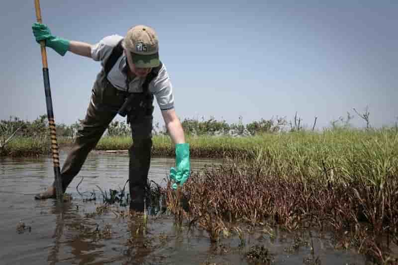 Bp peut faire appel de certains dedommagements lies a deepwater