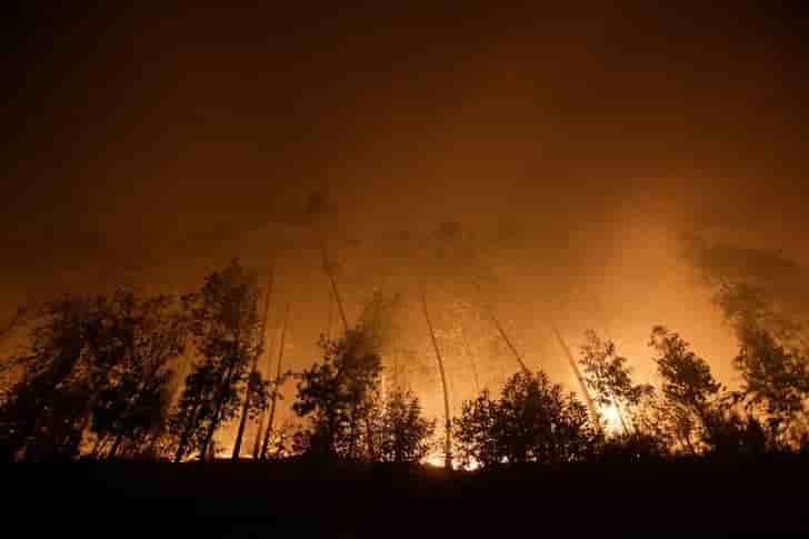 Des incendies de foret font 27 morts au portugal, trois en espagne