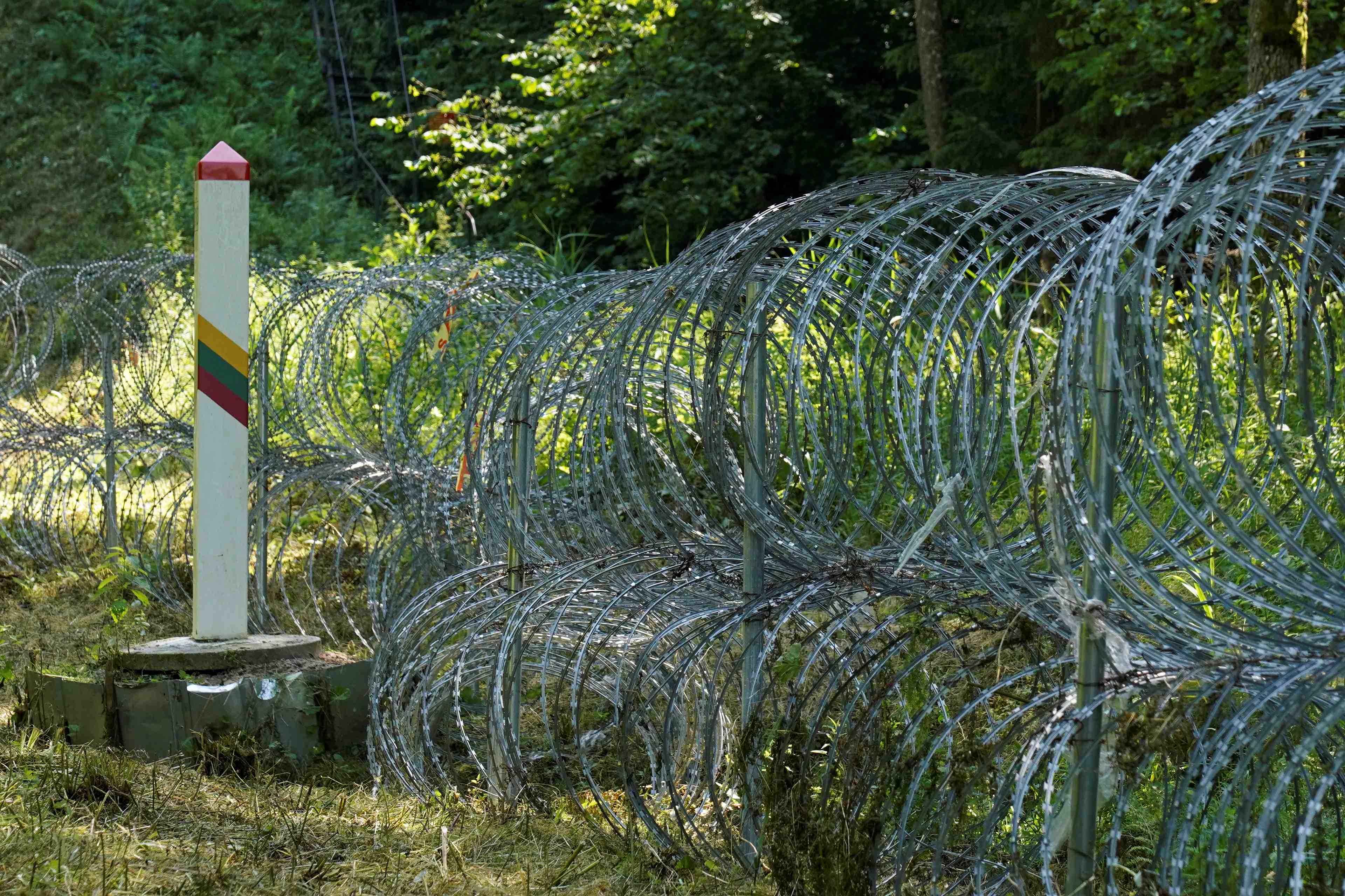 La lituanie va lancer la construction d'une cloture a la frontiere bielorusse