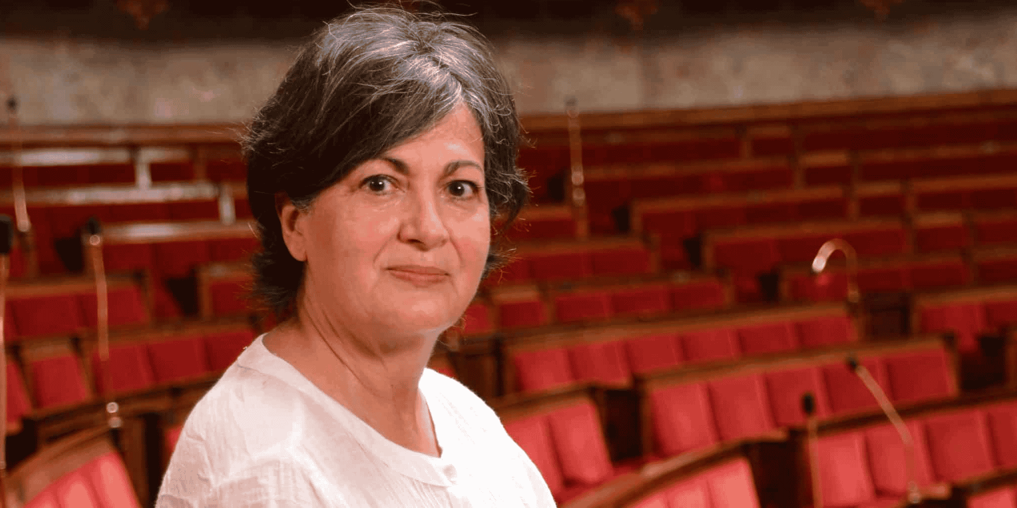 La députée toulousaine Christine Arrighi compte mettre à mal le projet d'autoroute A69 Toulouse - Castres avec cette commission d'enquête parlementaire.