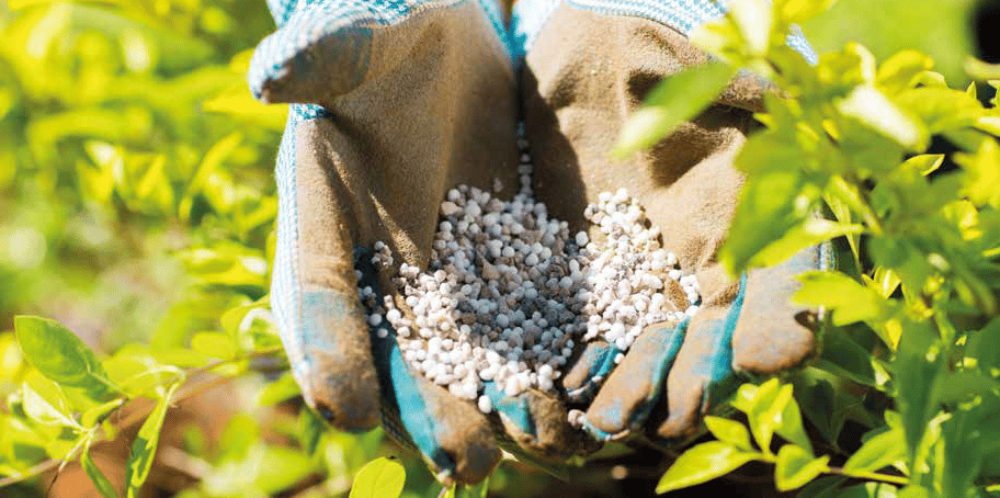Agriculture engrais agriculteurs