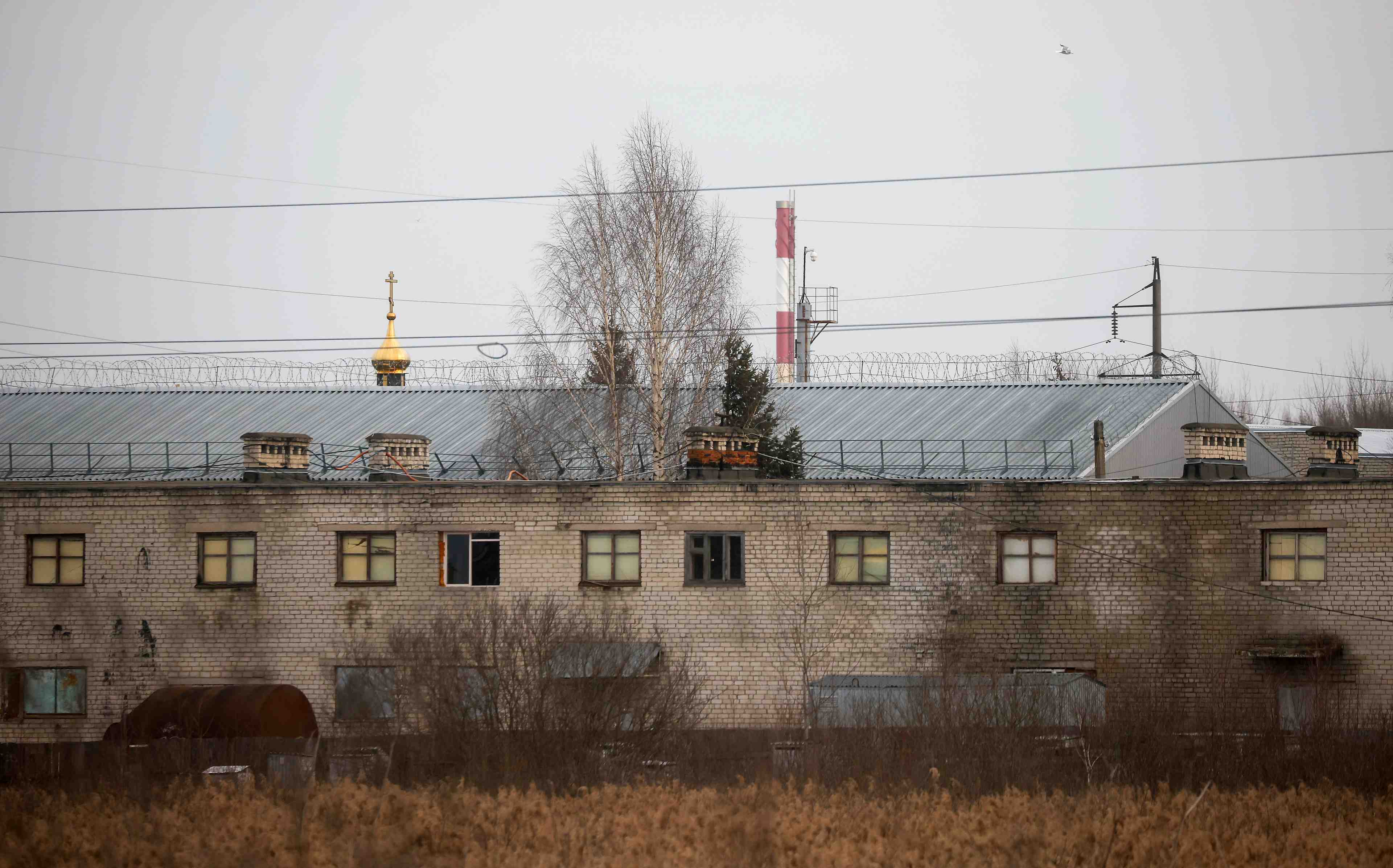 La russie pourrait etre lentement en train de tuer navalny, dit amnesty