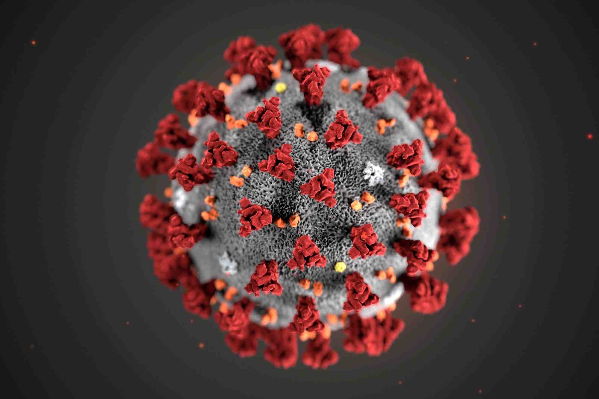 Coronavirus: l’oms simplifie les noms des variants