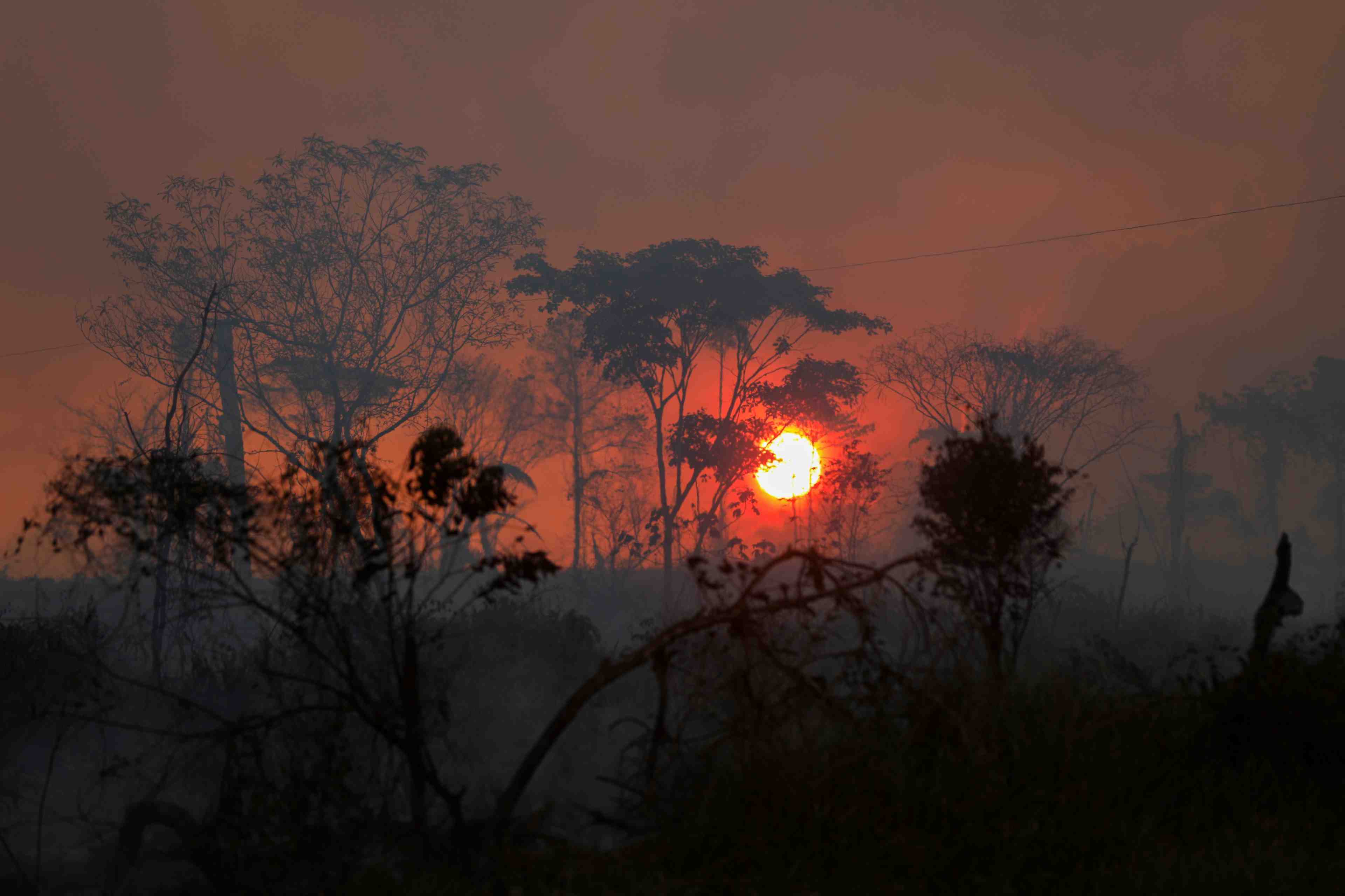Cop26: plus de 100 dirigeants promettent de stopper la deforestation d'ici 2030