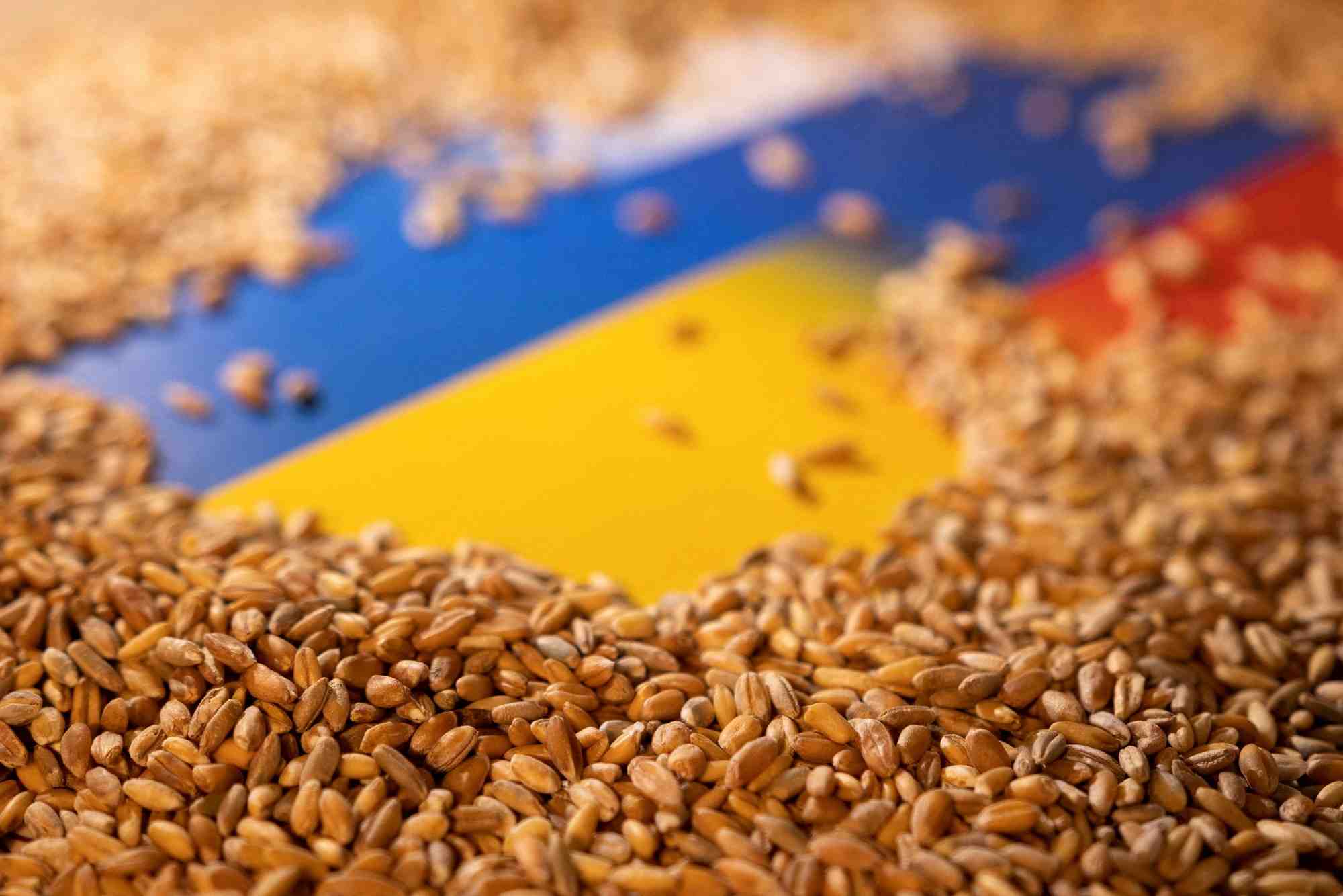 Ukraine: 75 millions de tonnes de cereales pourraient etre bloquees d'ici l'automne, dit zelensky