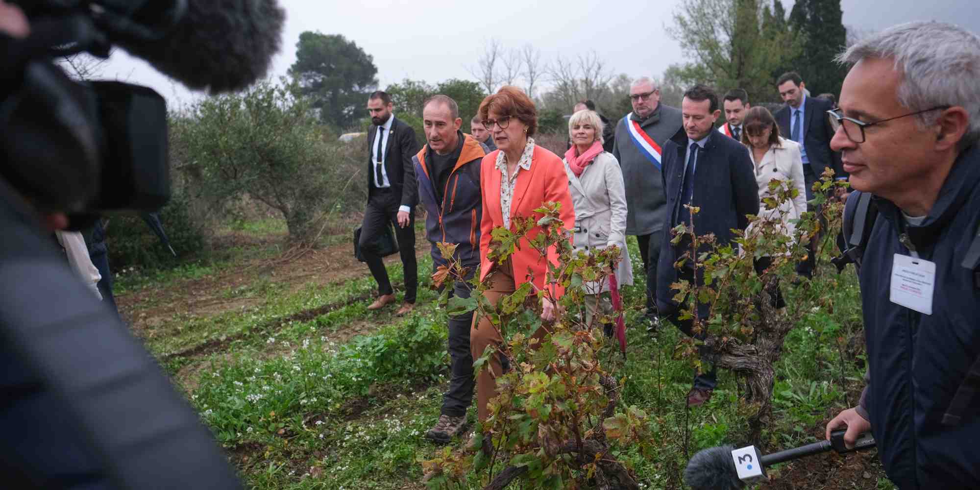 La ministre de l’Agriculture Annie Genevard était en déplacement dans l'Aude ce 5 novembre 2024, pour annoncer des mesures d'aide aux trésoreries pour les agriculteurs les plus en difficulté.