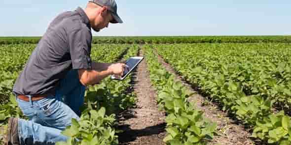 ITK édite des logiciels pour aider les agriculteurs à optimiser le rendement et la qualité de leurs cultures