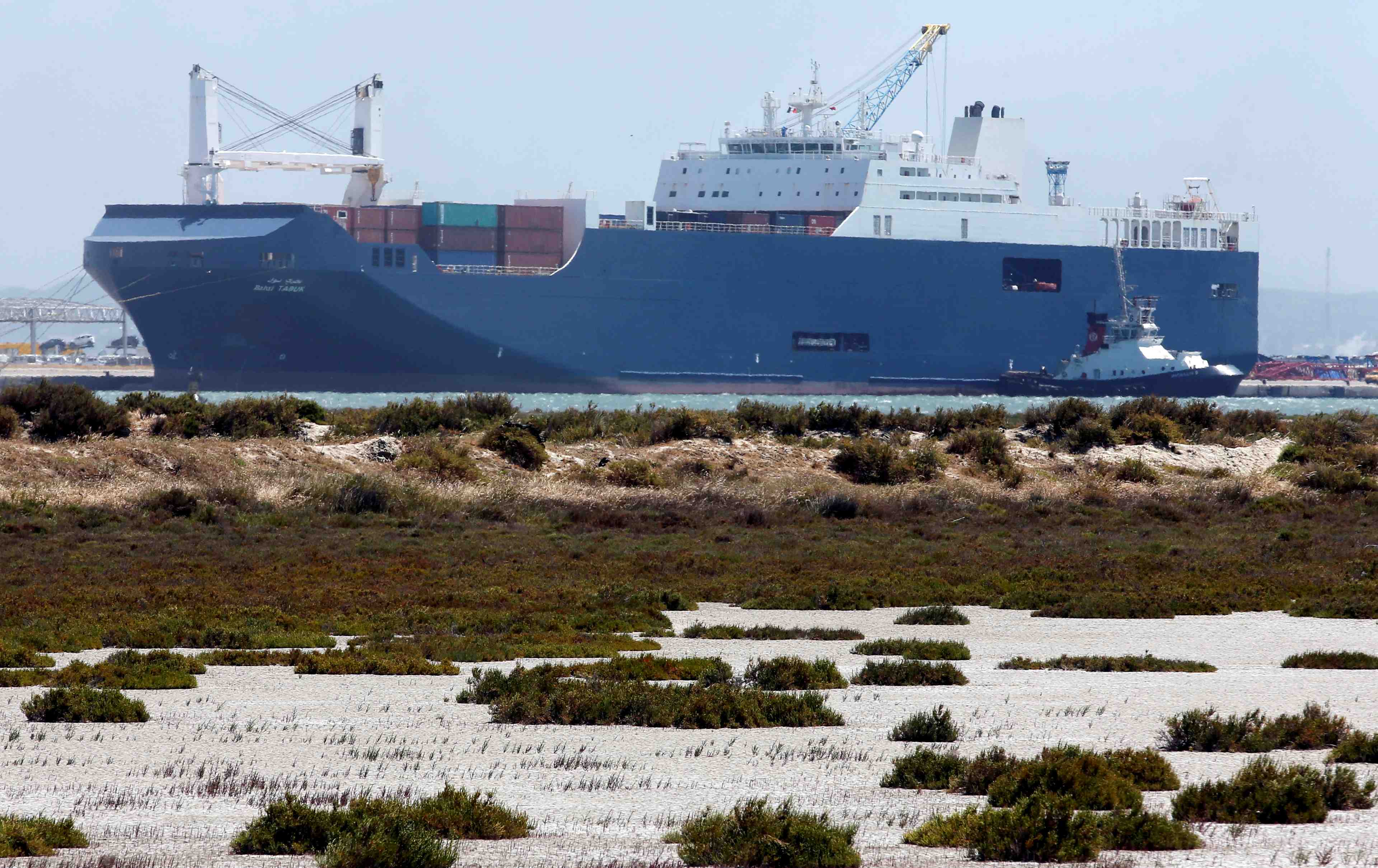 Refere rejete contre un cargo saoudien susceptible de convoyer des armes