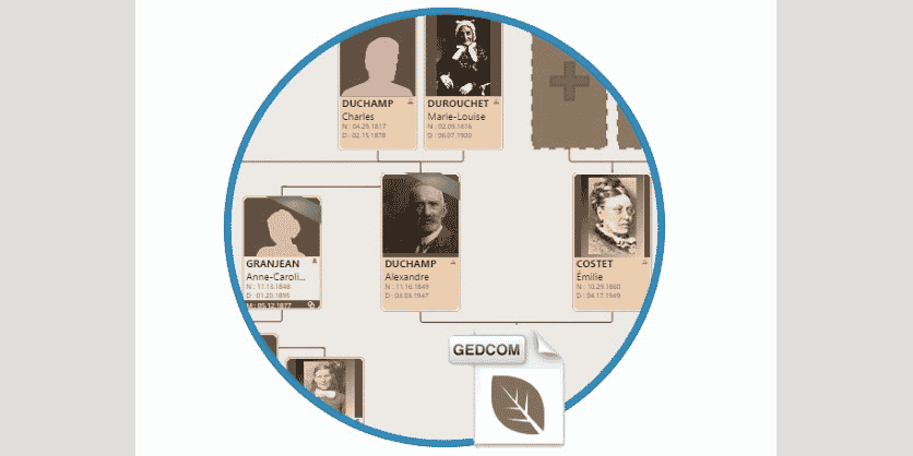 La Scop montpelliéraine Heredis a développé un logiciel et une plateforme en ligne destinés aux adeptes de généalogie.