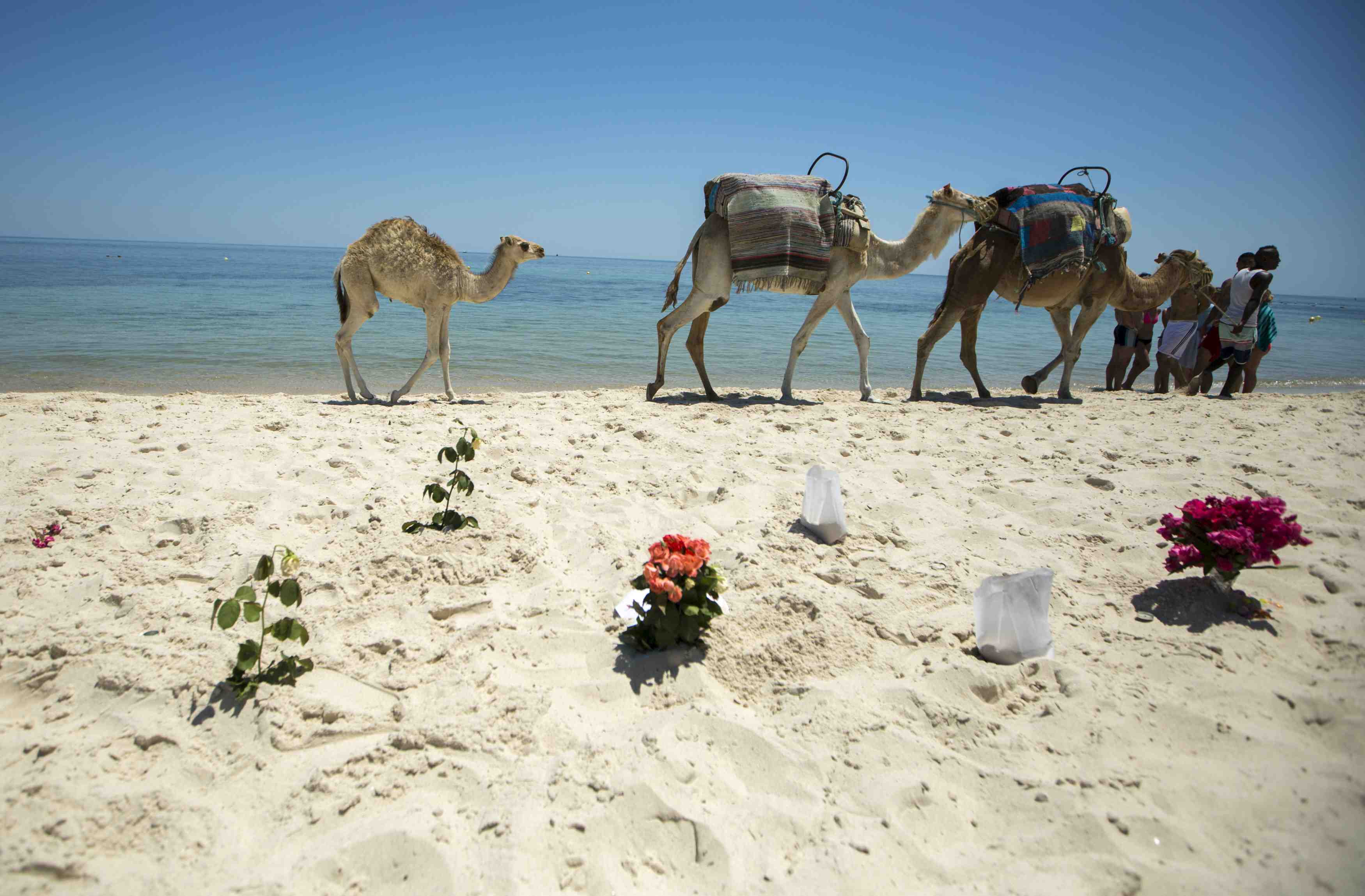 Bouquets of flowers are laid at the beachside of the imperial marhaba resort, which was attacked by a gunman in sousse