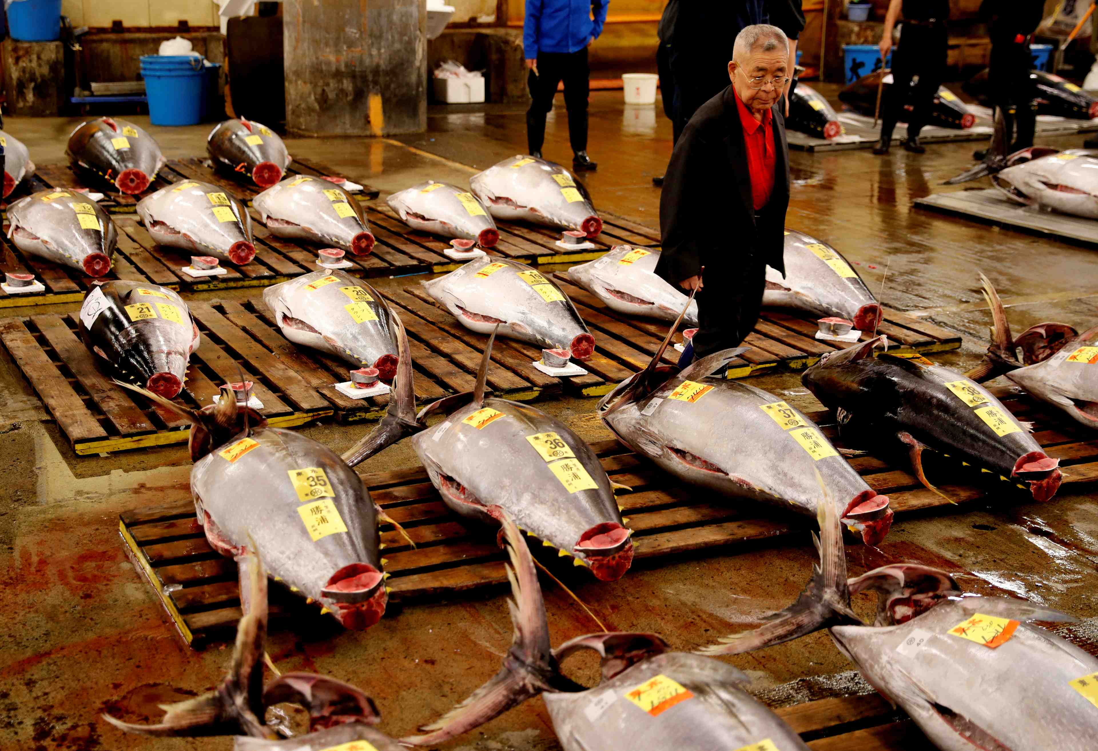 Tokyo: derniere vente aux encheres de thons a tsukiji avant demenagement