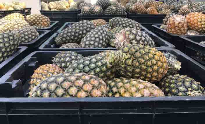 ananas