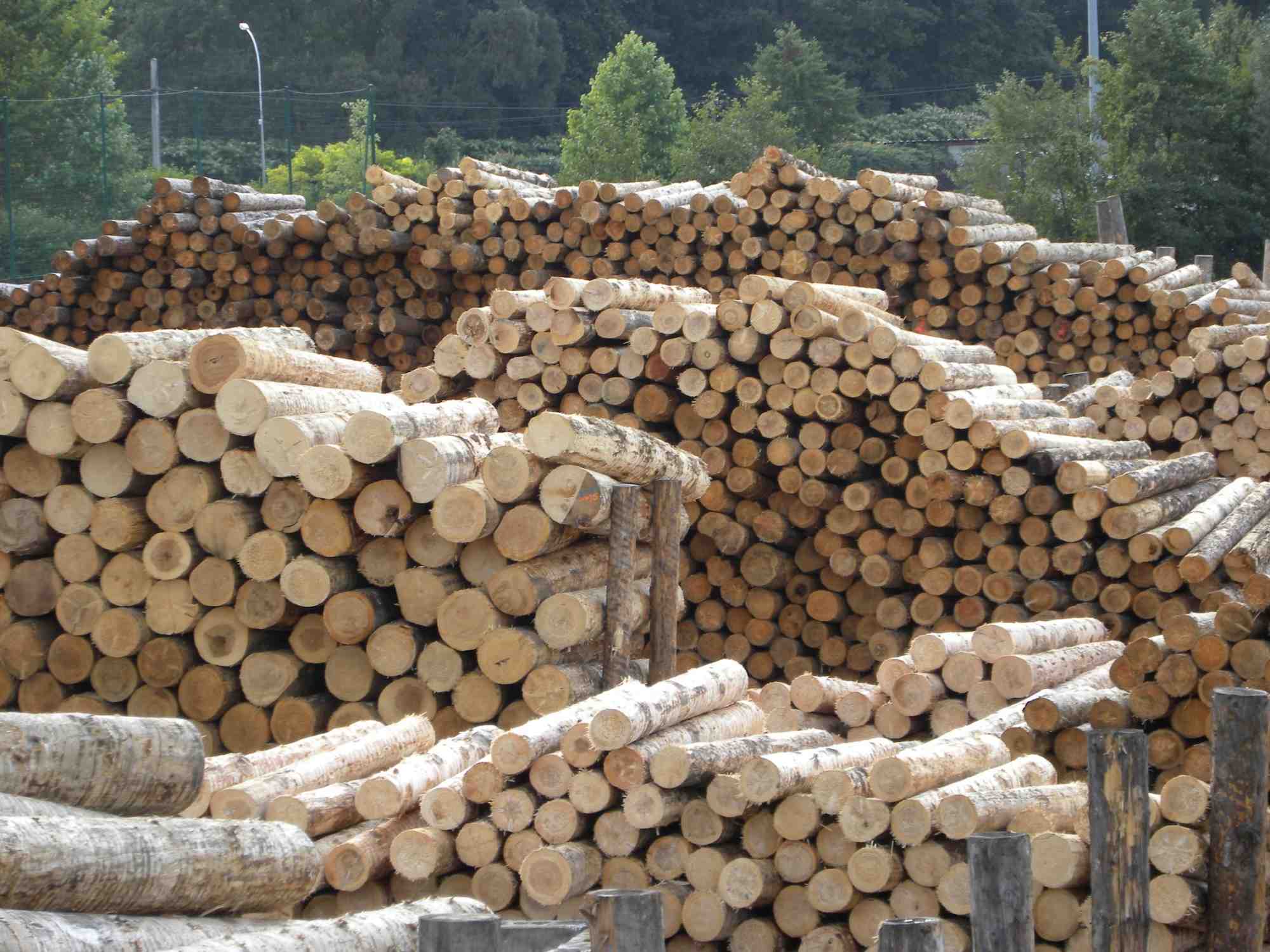 Le Carrefour International du Bois, rendez-vous de référence pour toute la filière forêt bois, revient à Nantes du 28 au 30 mai 2024.