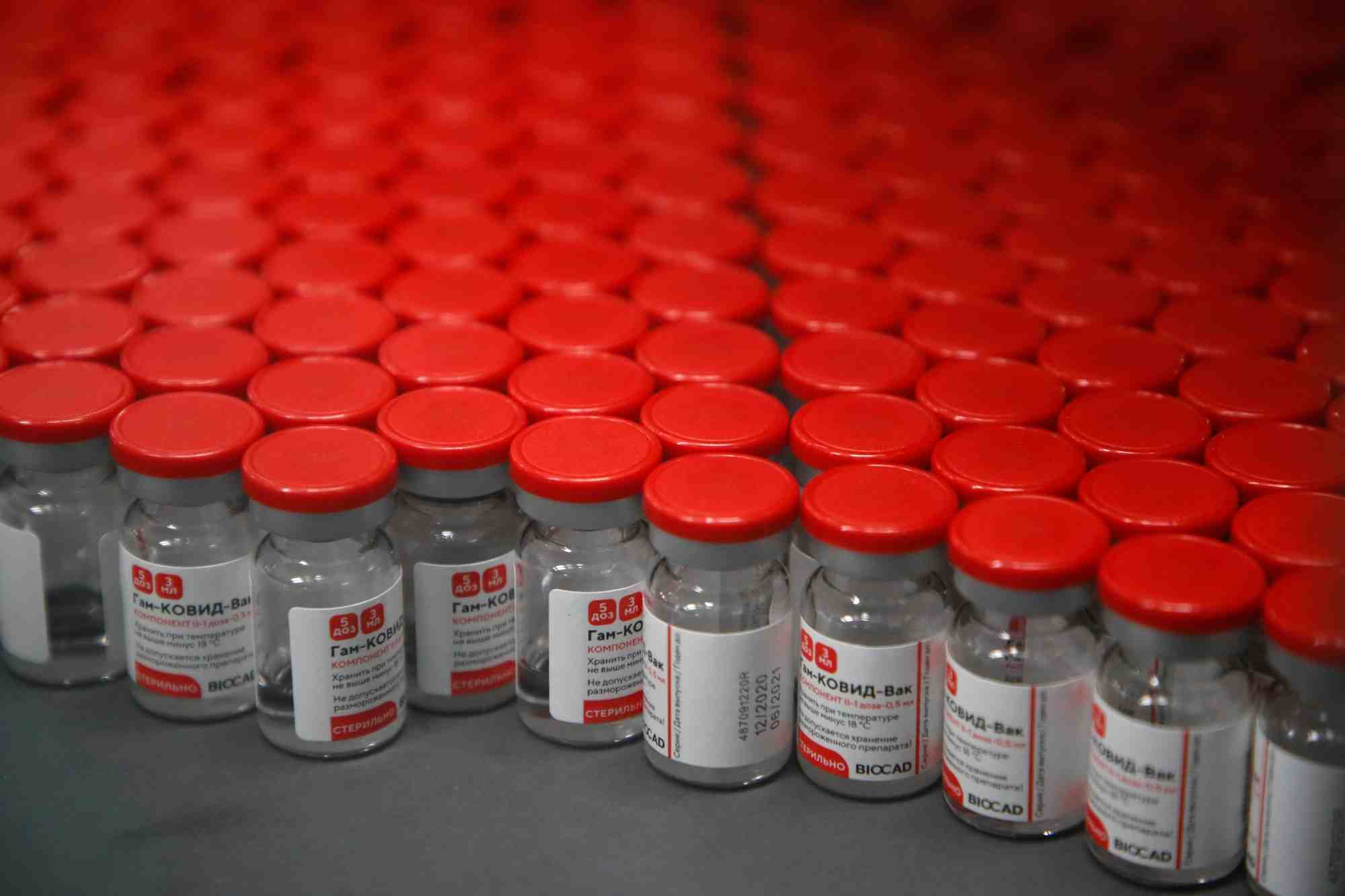 Poutine annonce qu’il recevra le vaccin contre le covid-19 "spoutnik v" des que possible