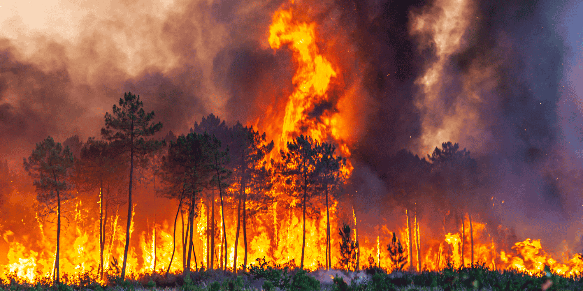 Incendies Gironde Landiras juillet 2022