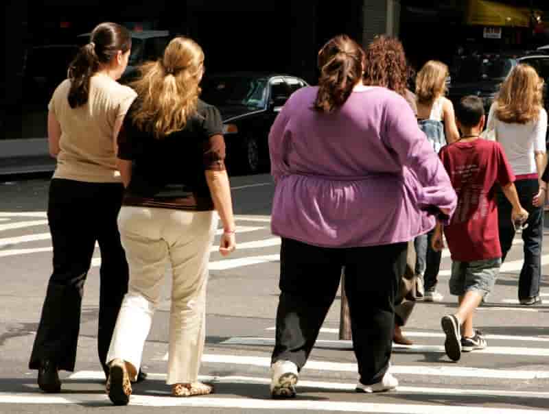 641 millions de personnes souffrent d'obesite dans le monde, selon une etude