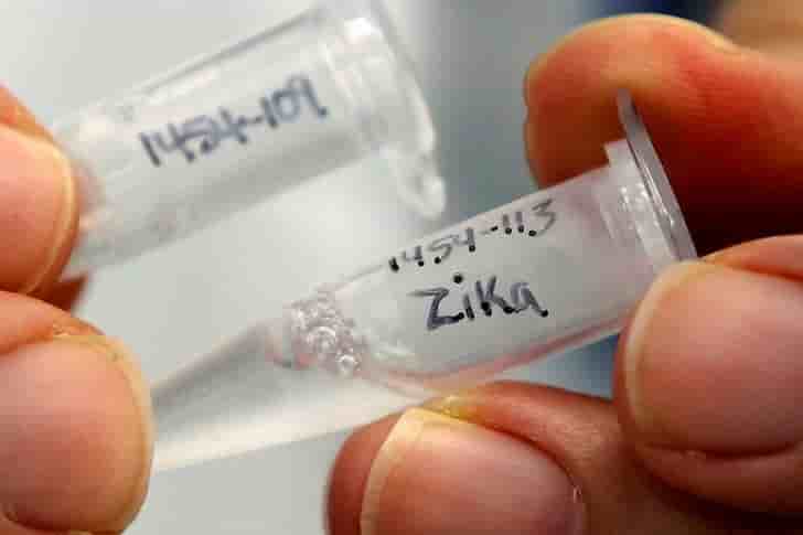 Deux modes de transmission du virus zika de la mere au bebe