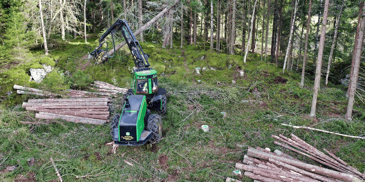 Pour une redynamisation de la filière bois