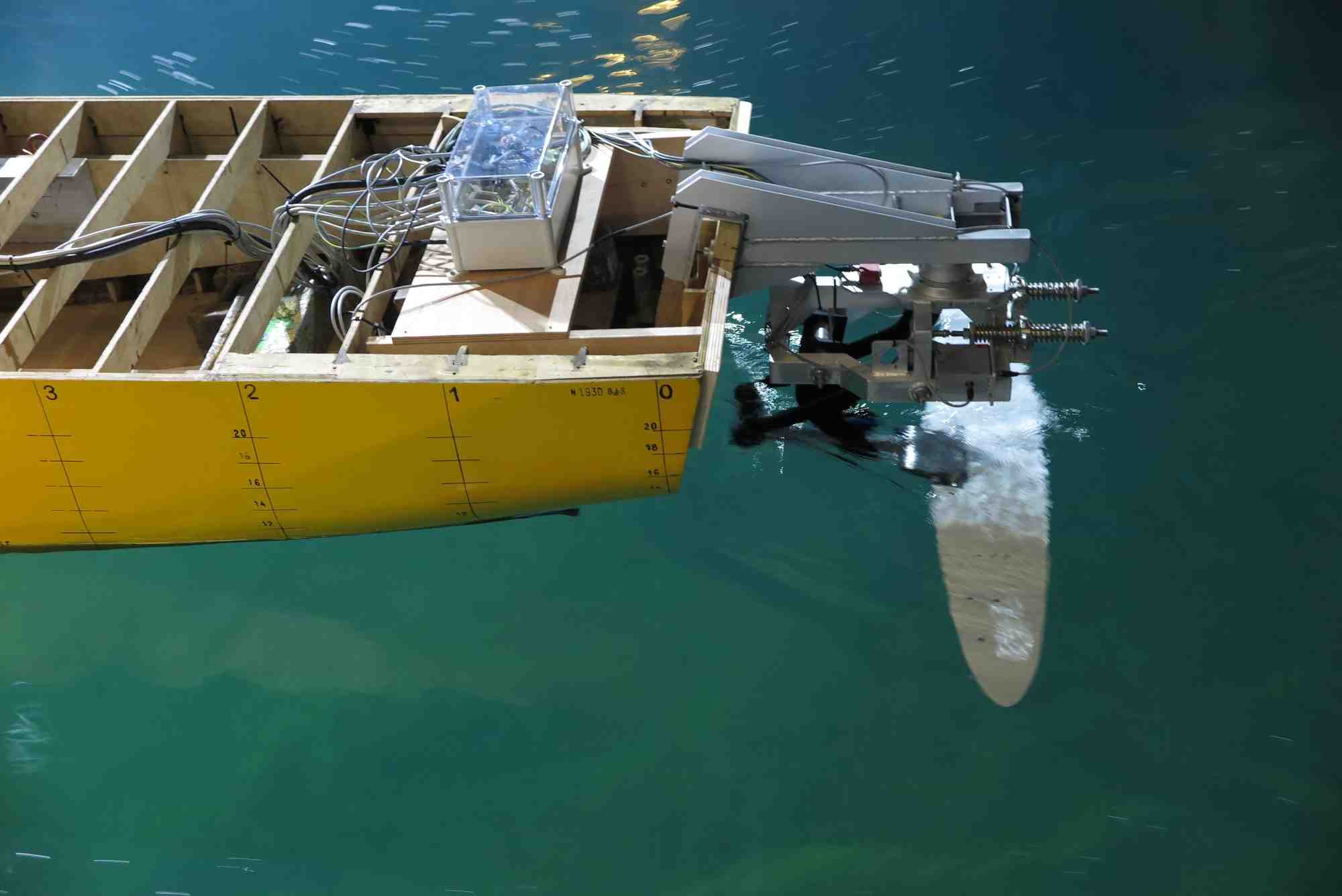 La taille du foil développé par Bluefins d'après l'étude des mouvements des cétacés sera adaptée à celle des navires. Pour un bateau de 300 mètres, elle pourra atteindre 25 mètres de large sur 10 mètres de long.