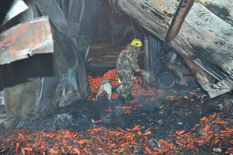 Incendie meurtrier dans une usine de carottes en Chine