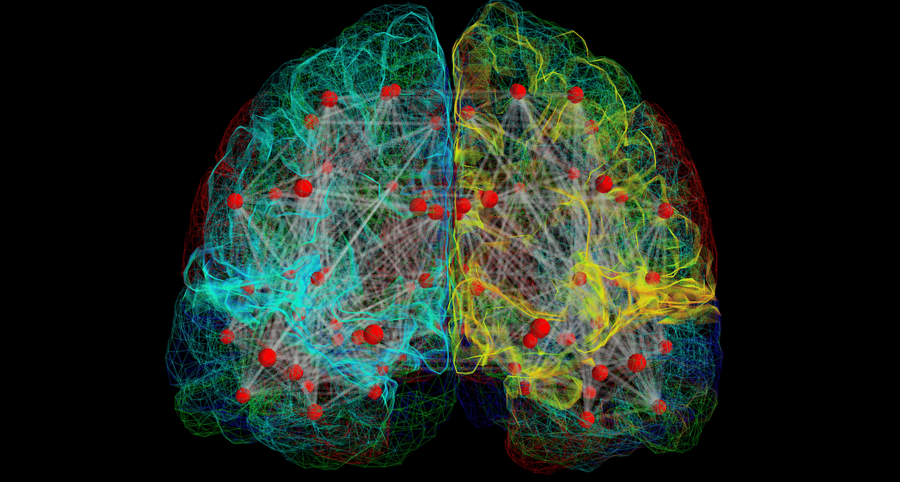 Cerveau virtuel
