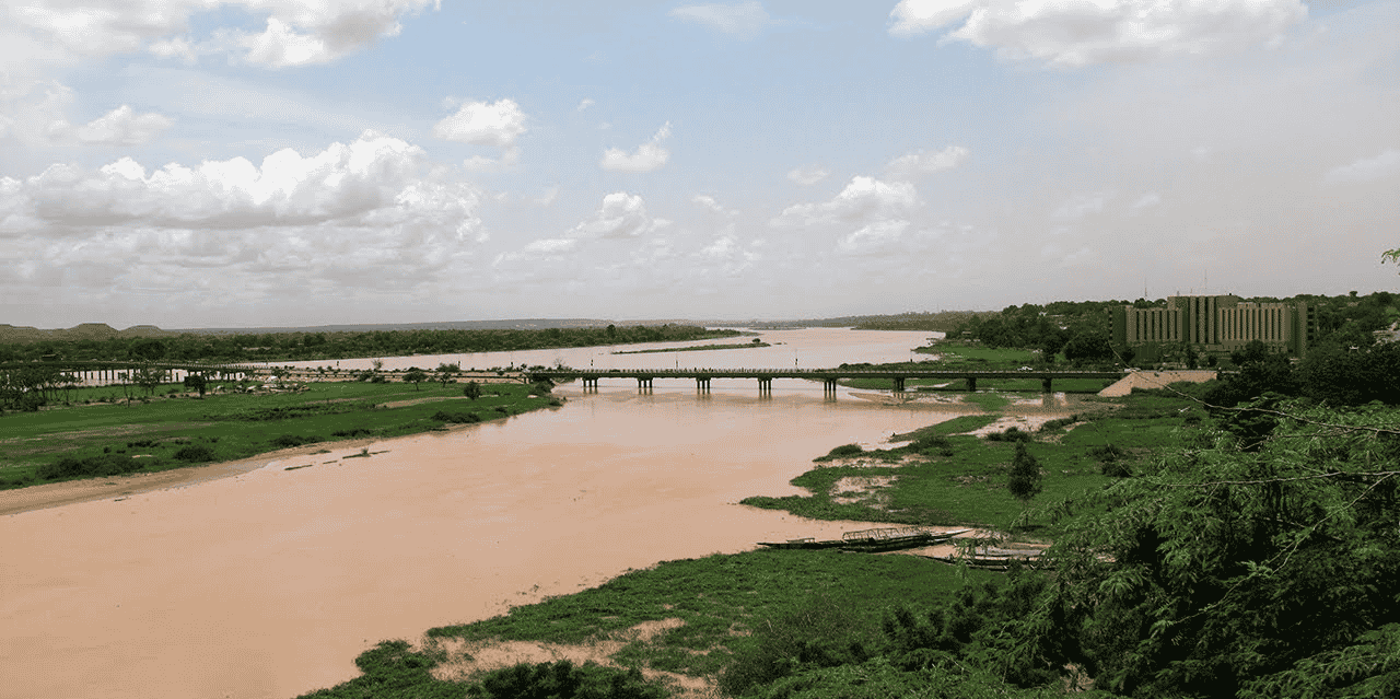 bassin niger