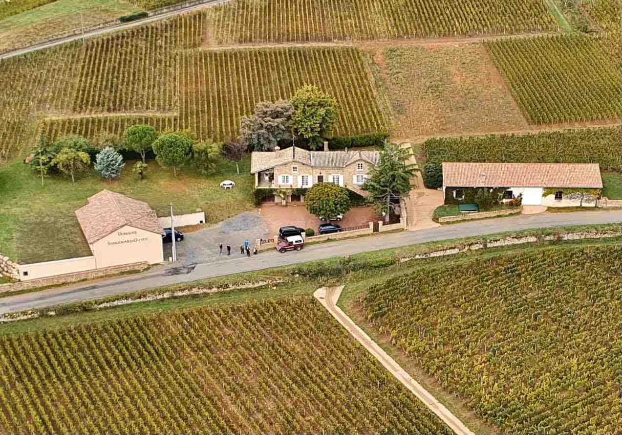 Domaine familial de Sangouard-Guy dans le Mâconnais (15 hectares)