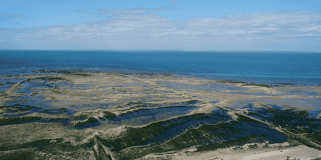 Parc naturel marin de l’Estuaire de la Gironde et de la Mer des Pertuis