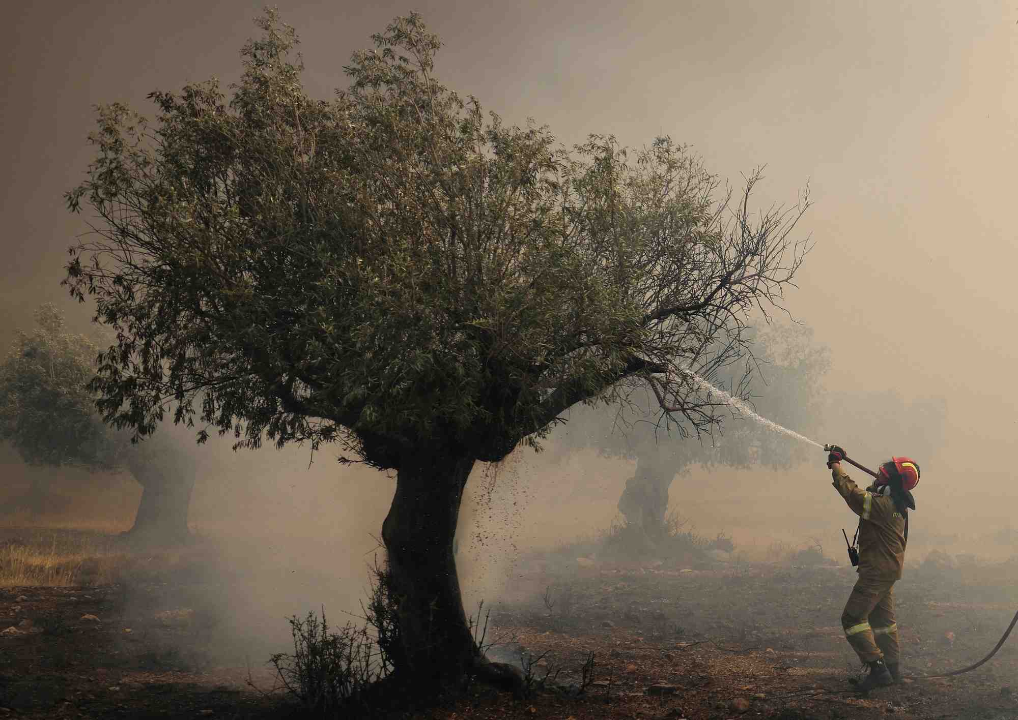 Photo d'un feu de foret a vlyhada