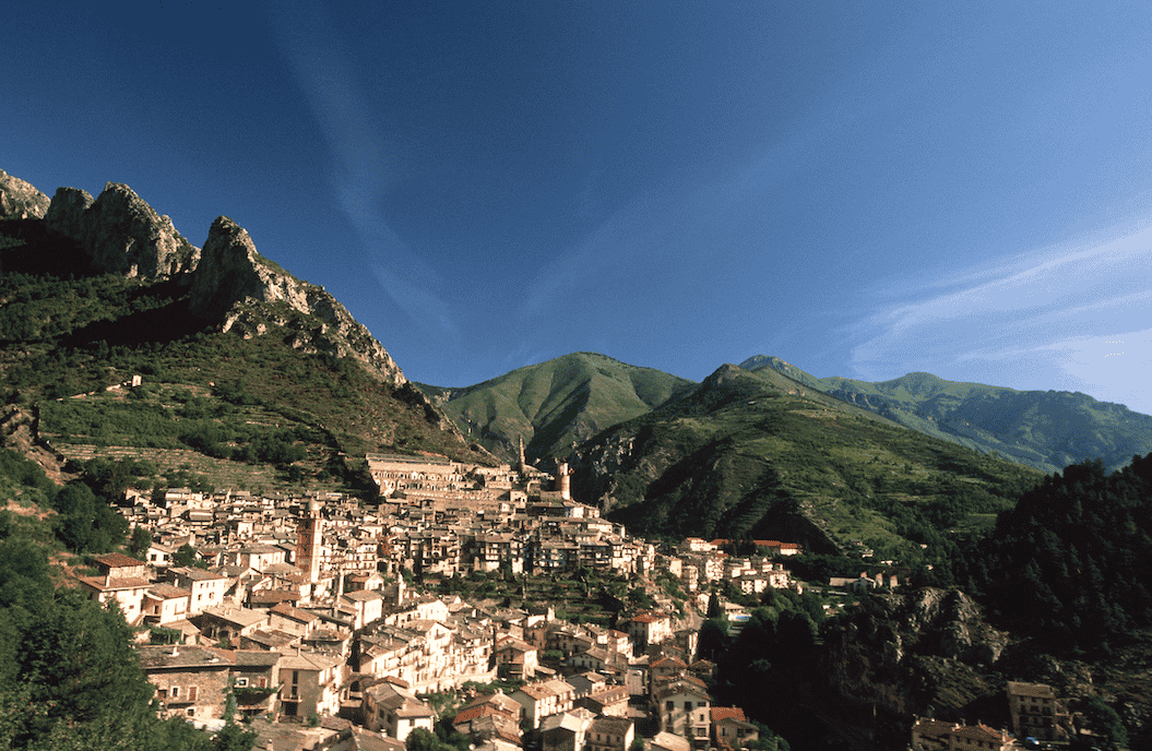 Tende