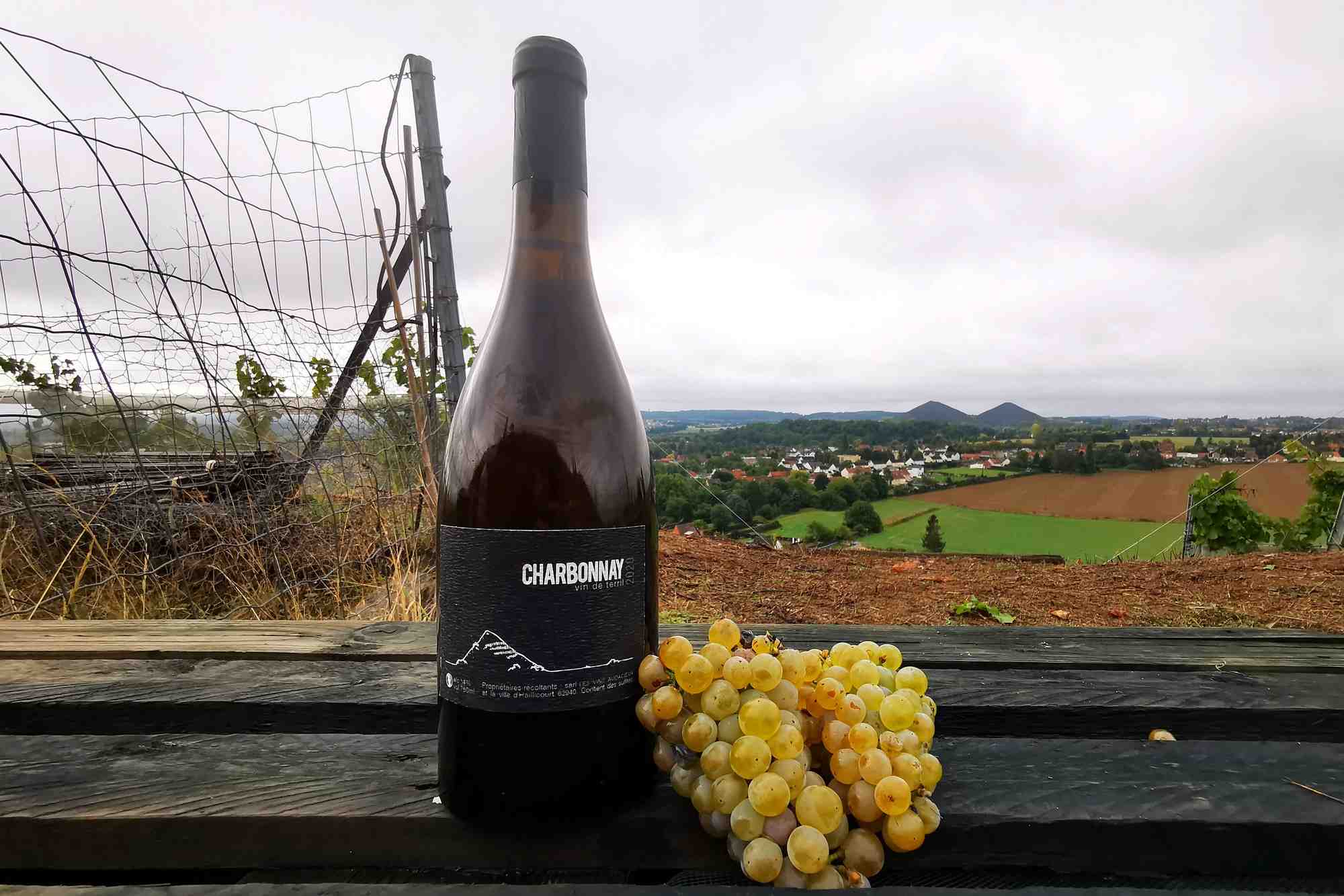 Une bouteille de vin charbonnay et de raisins chardonnay dans un vignoble de haillicourt, france