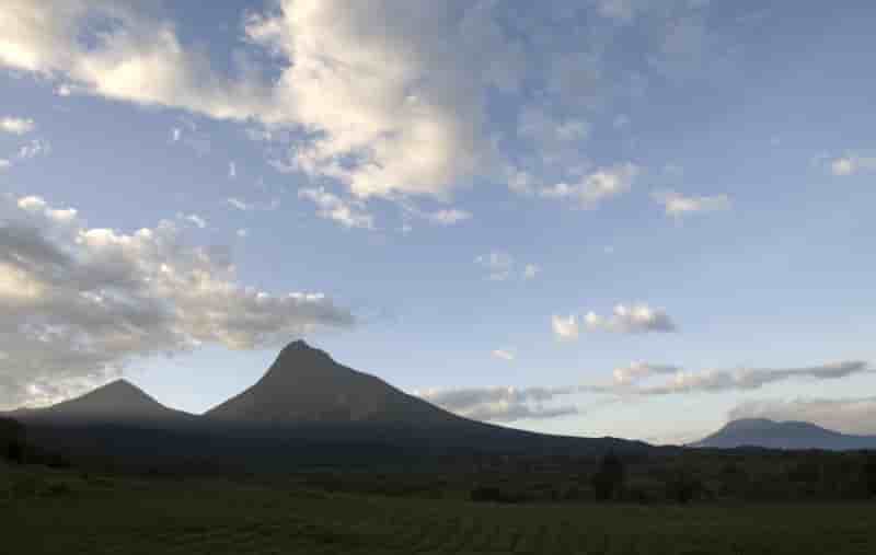 Rdc: le parc des virunga va rester ferme jusqu'a l'an prochain