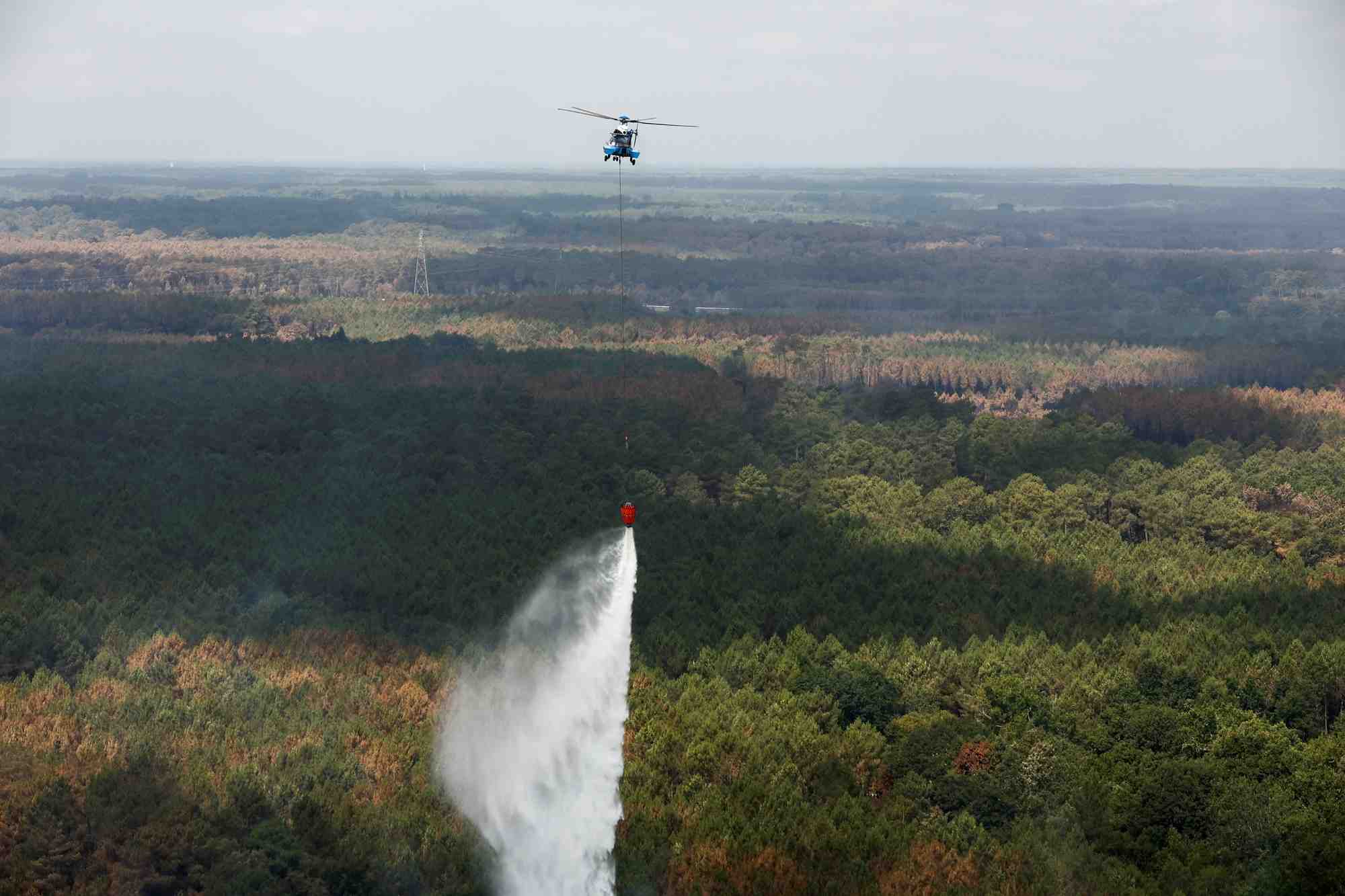 France: le feu de landiras, en gironde, est fixe