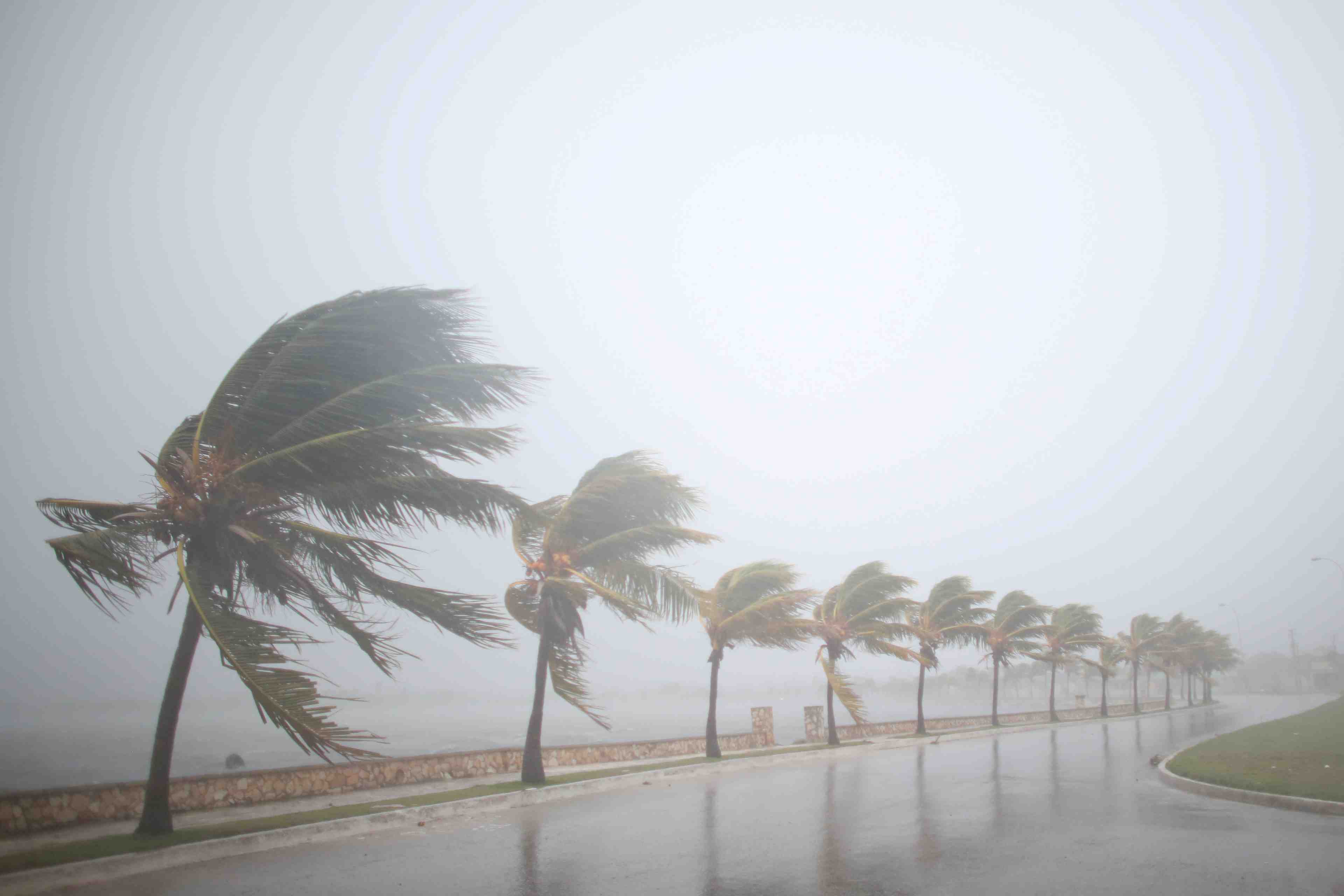 L'ouragan irma s'abat sur cuba avec une puissance renforcee